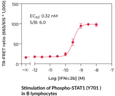 STAT1 (Phospho-Tyr<sup>701</sup>) TR-FRET Assay Kit