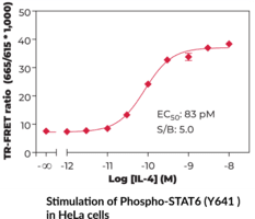 STAT6 (Phospho-Tyr<sup>641</sup>) TR-FRET Assay Kit