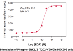 ERK1/2 (Extreme Phospho-Thr<sup>202</sup>/Tyr<sup>204</sup>) TR-FRET Assay Kit