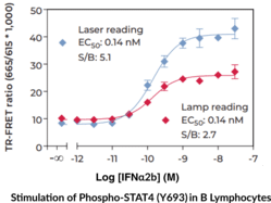 STAT4 (Phospho-Tyr<sup>693</sup>) TR-FRET Assay Kit
