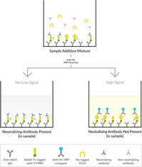 SARS-CoV-2 Neutralizing Antibody Detection ELISA Kit