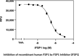 FSP1 Fluorescent Inhibitor Screening Assay Kit