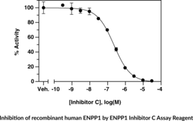 ENPP1 Fluorescent Inhibitor Screening Assay Kit