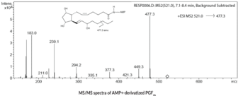 AMP<sup>+</sup> MaxSpec<sup>®</sup> Kit