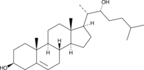 22(R)-<wbr/>hydroxy Cholesterol