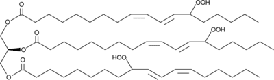 Linolein Hydro<wbr/>peroxides