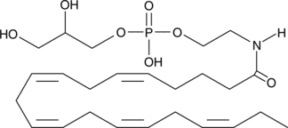 Glycero<wbr/>phospho-<wbr/>N-Eicosa<wbr/>pentaenoyl Ethanolamine