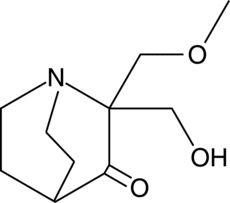 PRIMA-<wbr/>1<sup>MET</sup>