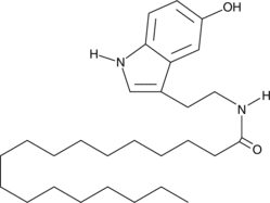 Stearoyl Serotonin