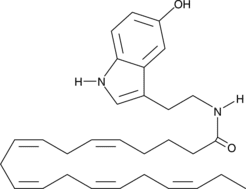 Eicosa<wbr/>pentaenoyl Serotonin