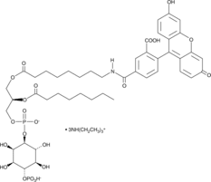 PtdIns (4)-<wbr/>P<sub>1</sub>-<wbr/>fluorescein (ammonium salt)