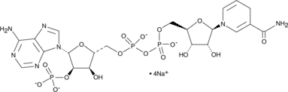 NADPH (sodium salt)