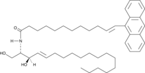 C10 AV Ceramide (d18:1/10:0)