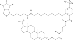 Progesterone-<wbr/>3-<wbr/>biotinyl Photoaffinity Probe