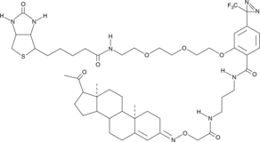 Progesterone-<wbr/>3-<wbr/>biotinyl Photoaffinity Probe