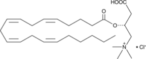 Arachidonoyl-L-carnitine (chloride)