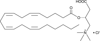 Arachidonoyl-L-carnitine (chloride)