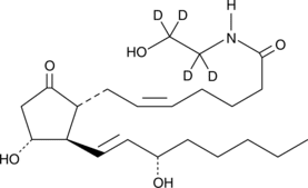 Prostaglandin E<sub>2</sub> Ethanolamide-<wbr/>d<sub>4</sub>