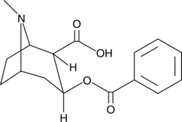 Benzoylecgonine