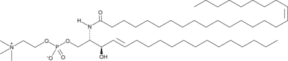C26:1 Sphingomyelin (d18:1/26:1<wbr/>(17Z))