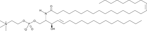 C26:1 Sphingomyelin (d18:1/26:1<wbr/>(17Z))