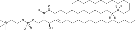 C26 Sphingomyelin-<wbr/>d<sub>4</sub> (d18:1/26:0-d<sub>4</sub>)