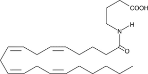 N-<wbr/>Arachidonoyl-<wbr/>?-<wbr/>Aminobutyric Acid