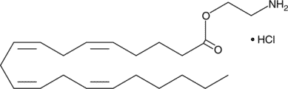 O-<wbr/>Arachidonoyl Ethanolamine (hydro<wbr>chloride)